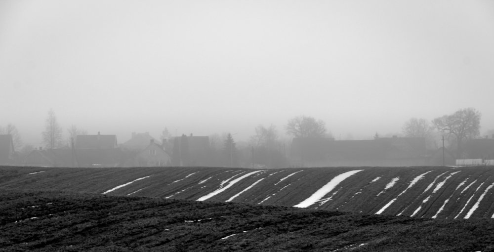 Поля в тумане