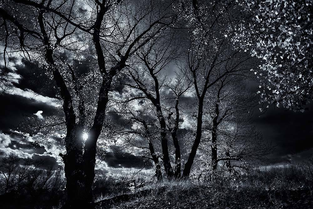 Фотография автора Игорь Баранов