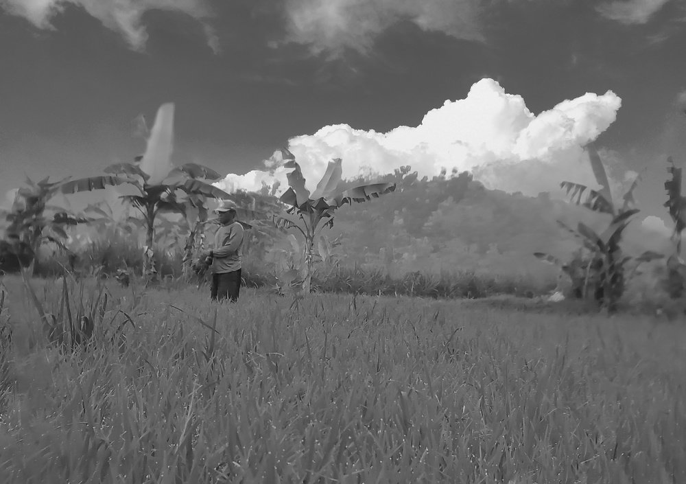 Landscape black & white