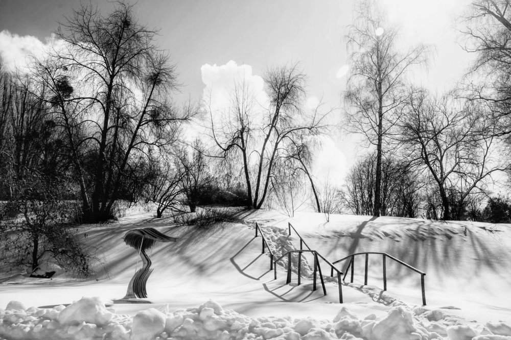 Winter sun