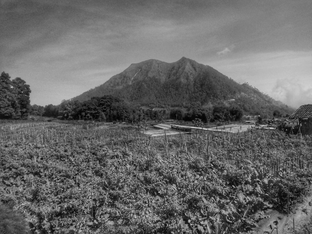 Landscape black & white