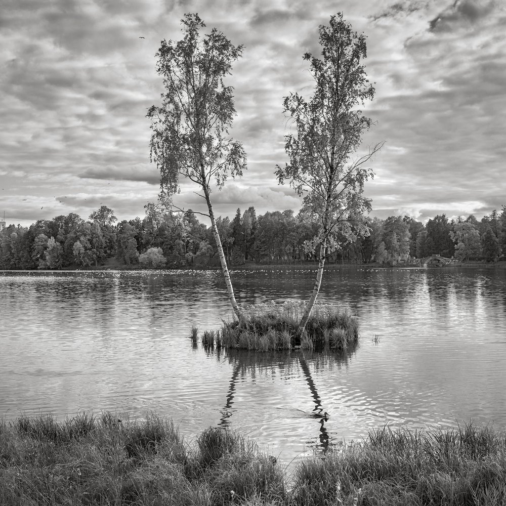 Осенняя черта