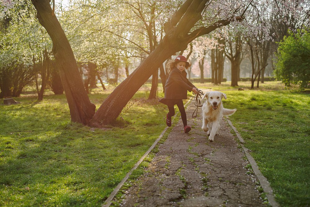 Кто кого выгуливает
