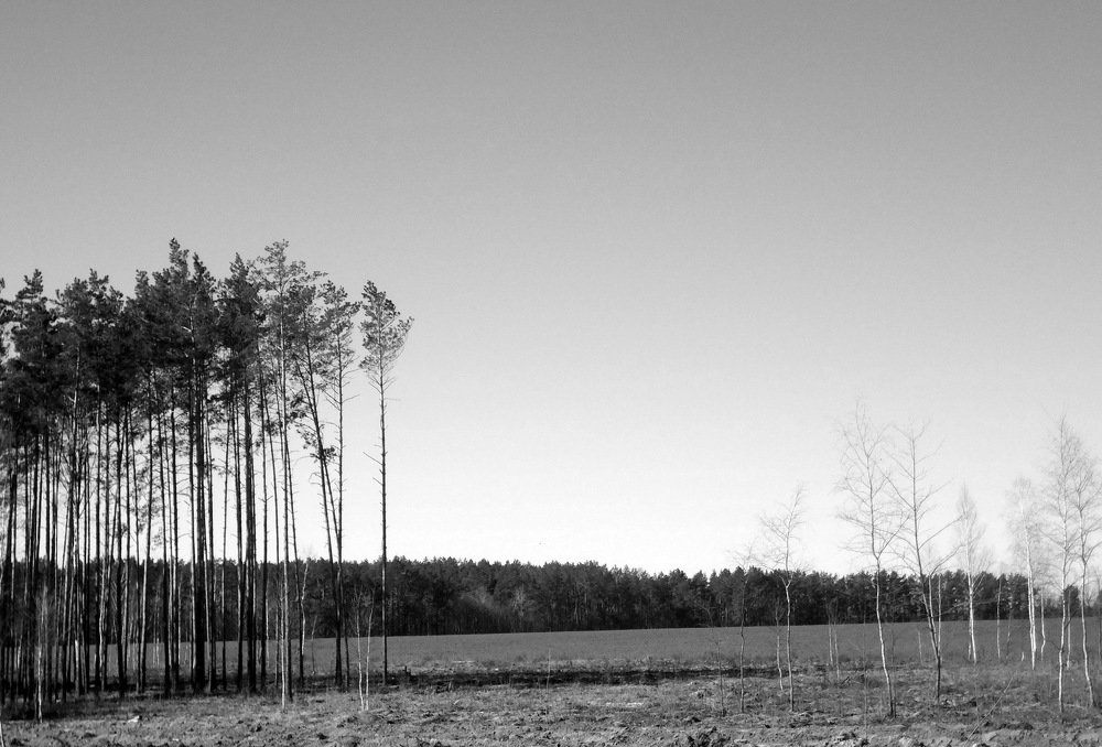 К горизонту