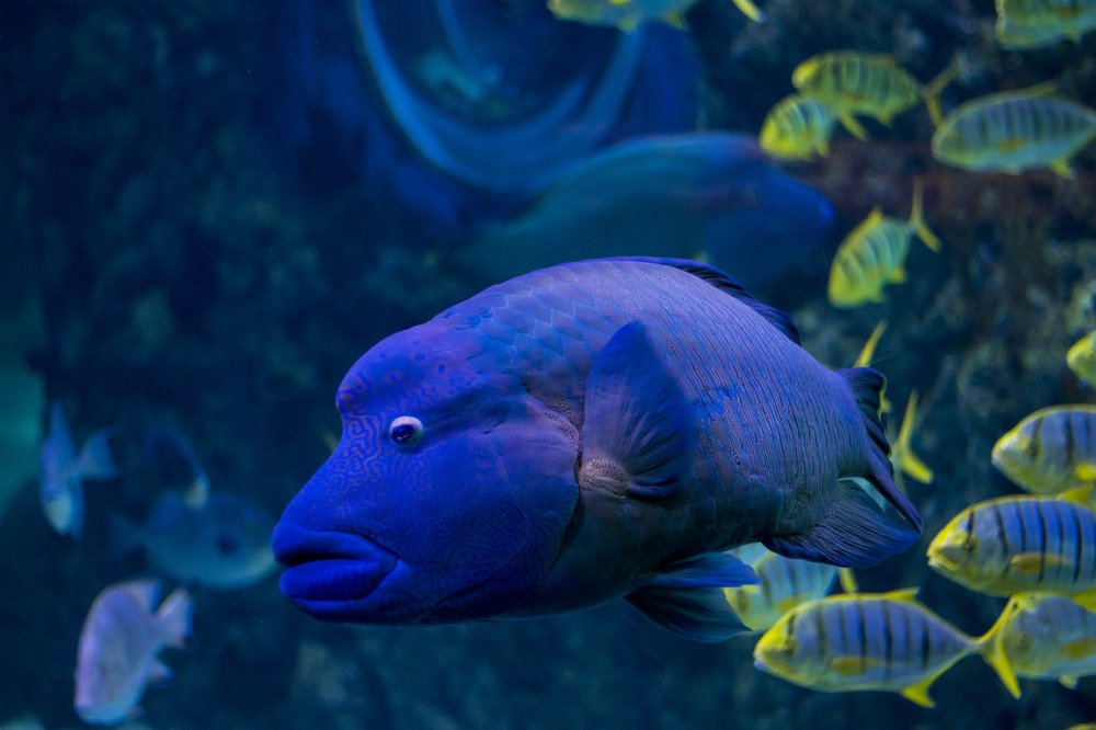 Photograph by Олег