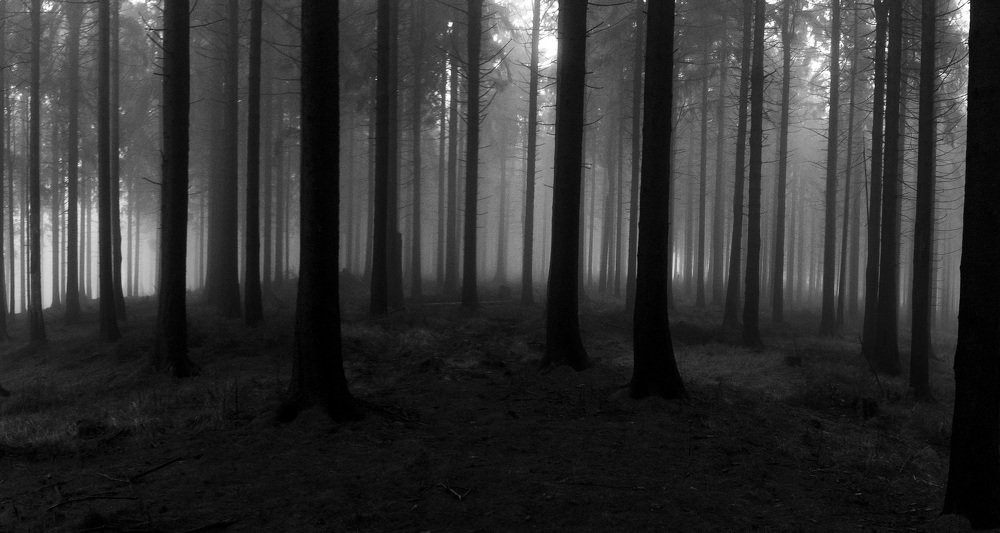 Photograph by Sergey Yakovlev