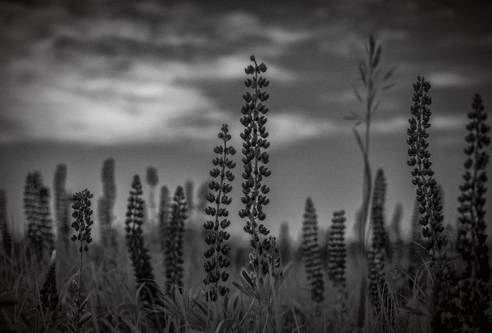 Неземной пейзаж