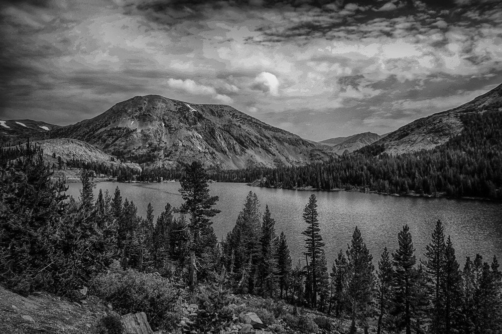 Photograph by Guy Krier