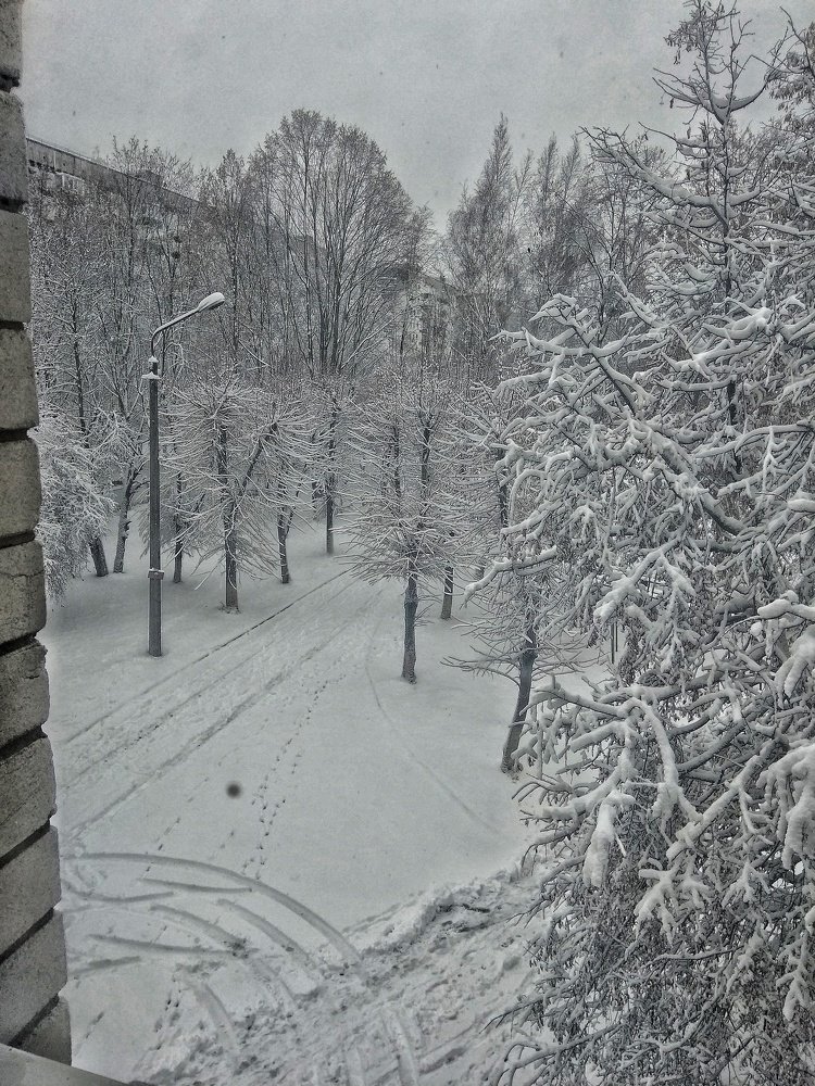 Світ іншими очима