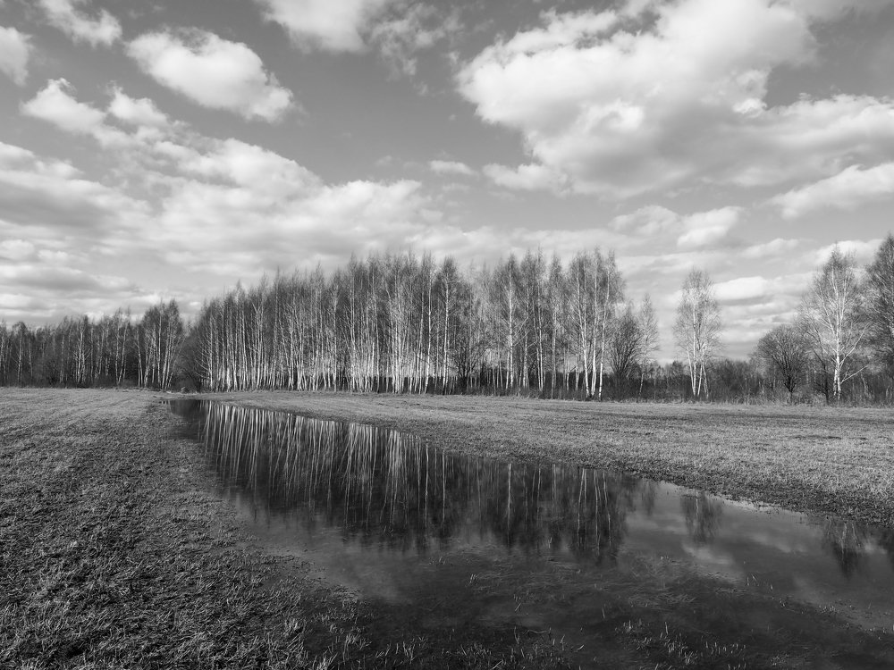Апрель в окрестностях Ярославля.