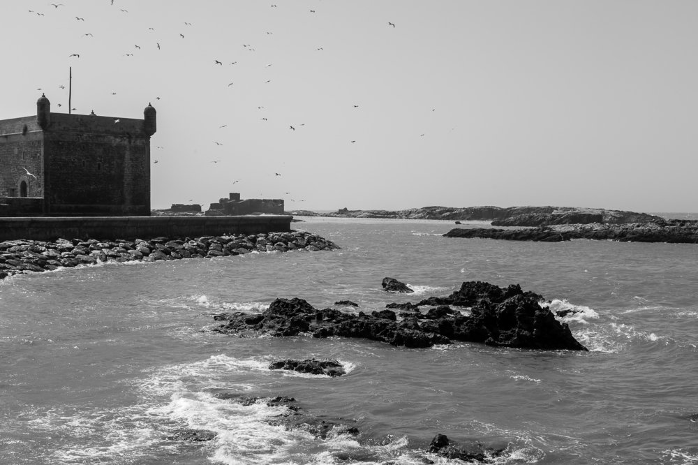 Photograph by Алёна Останкова