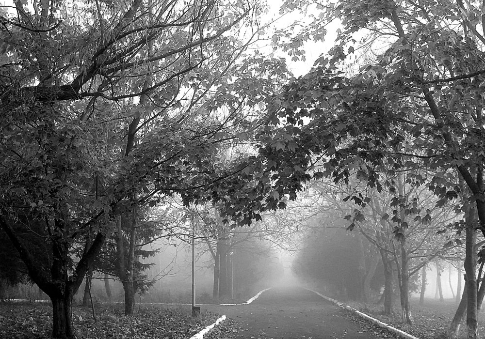 Утренний туман