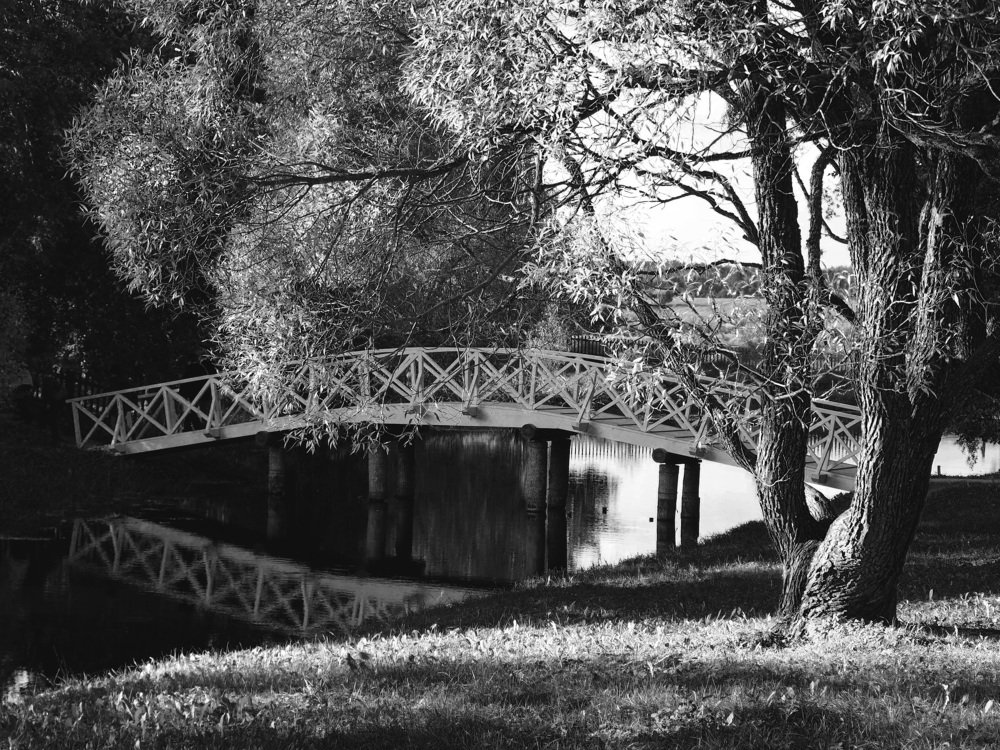 В Михайловском