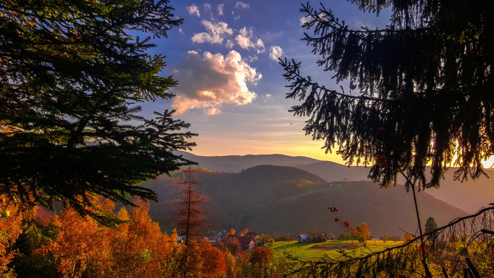 Beautiful autumn landscape