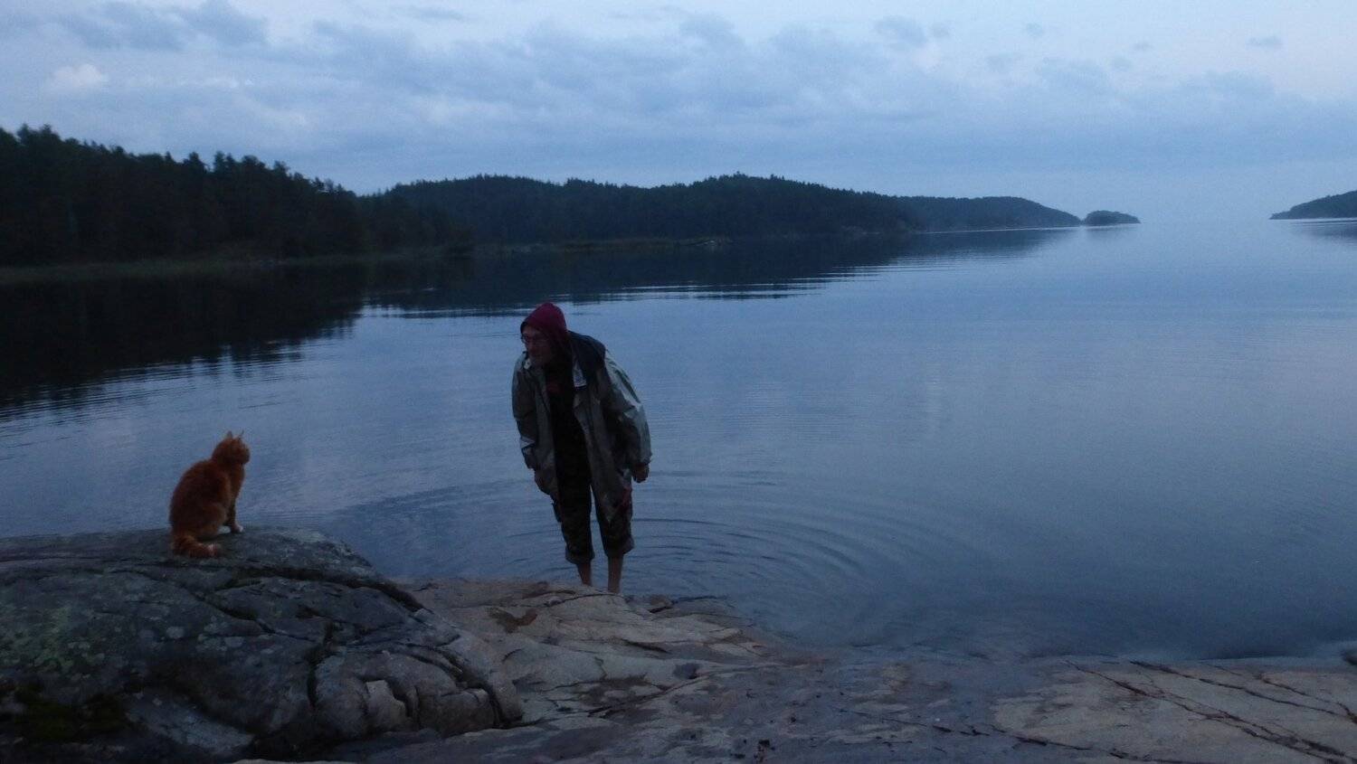 Интерес