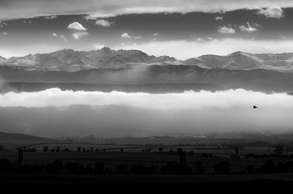 Утренний туман