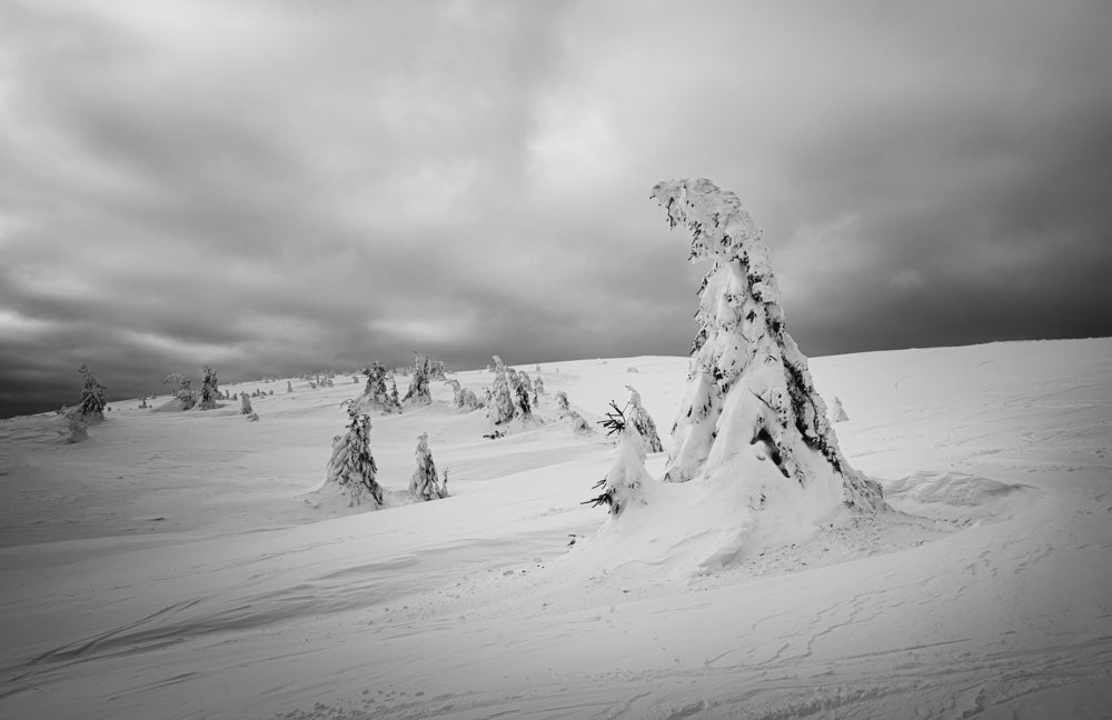 Winter in full force