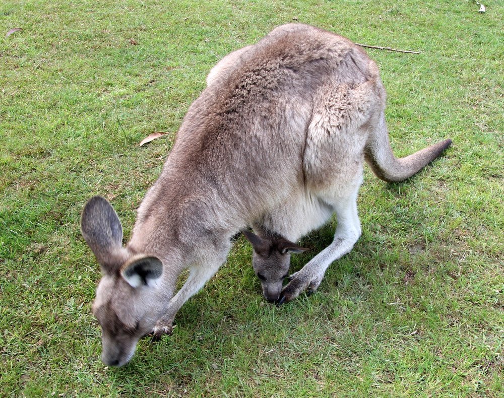 Под маминой защитой