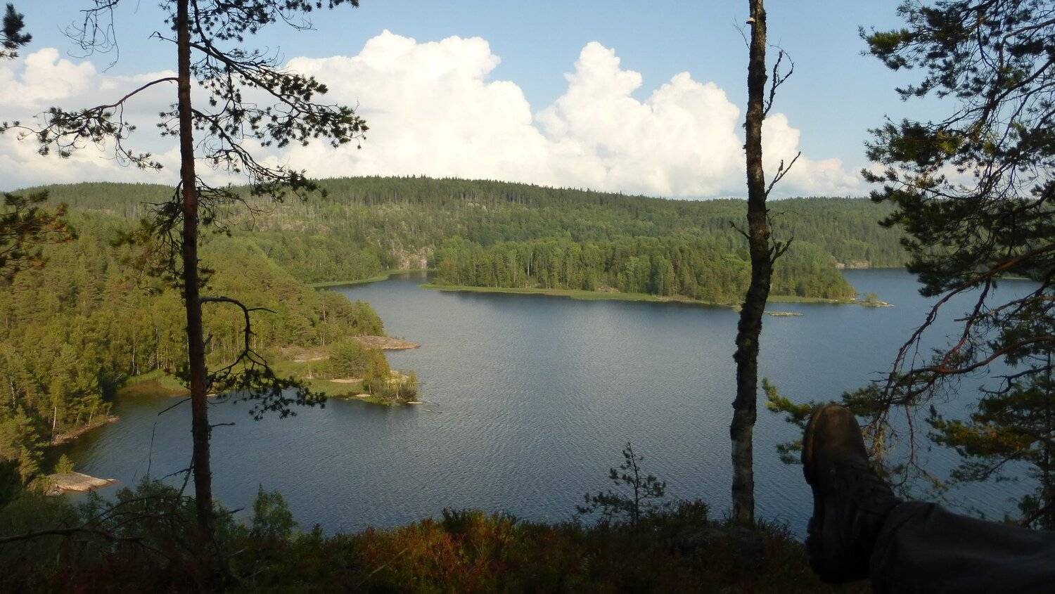 С высоты