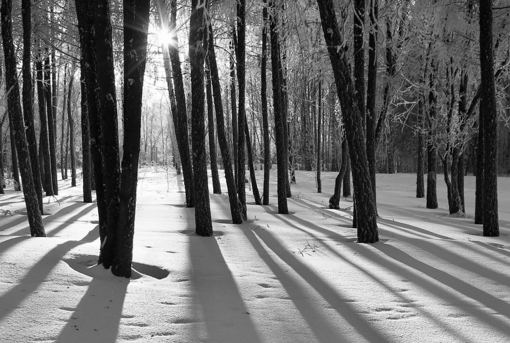 Морозный день