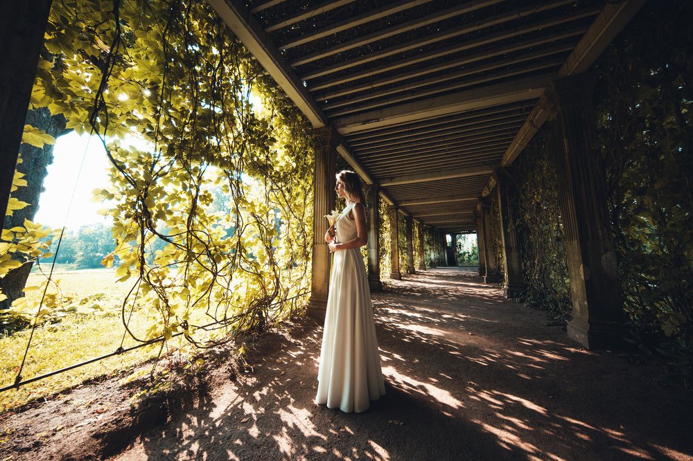 Photograph by Виталий Гуляев