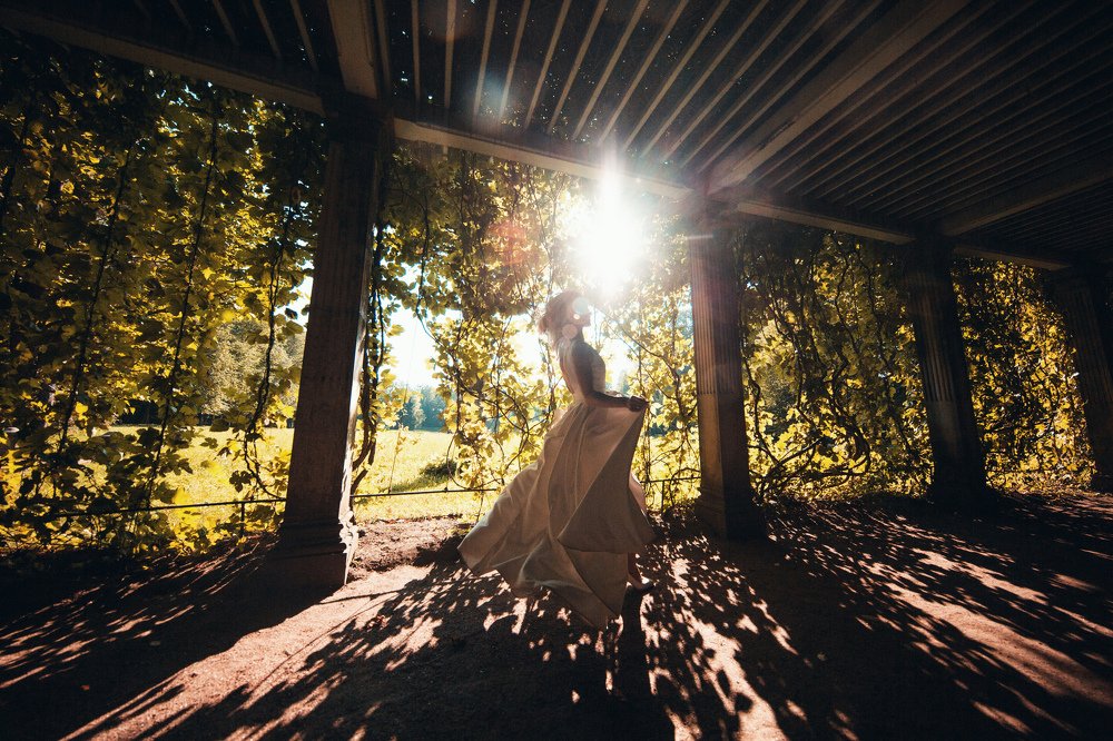 Photograph by Виталий Гуляев