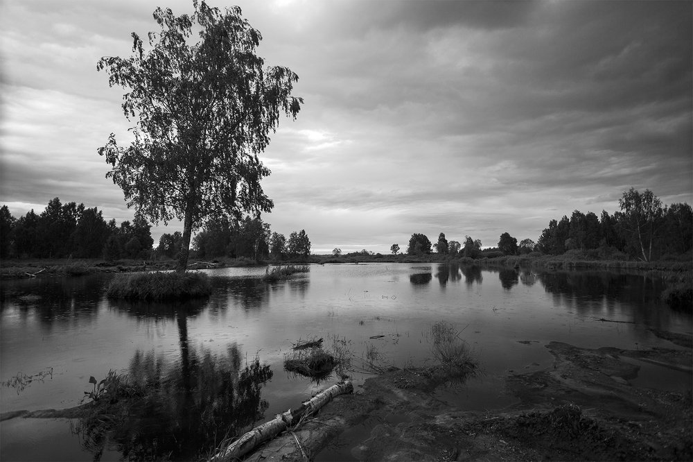 Перед дождём