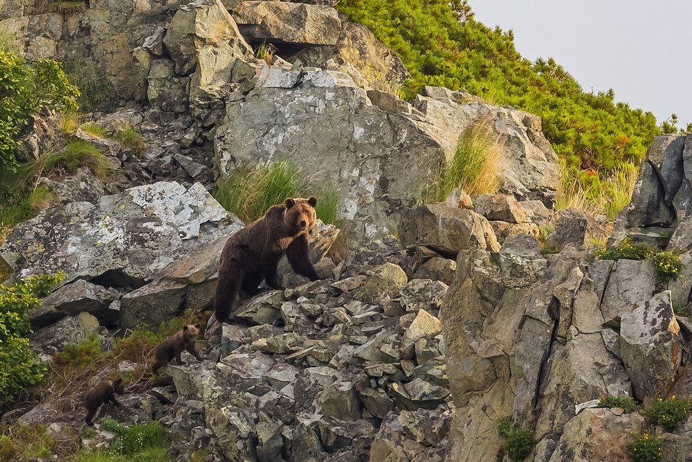 Детство в горах