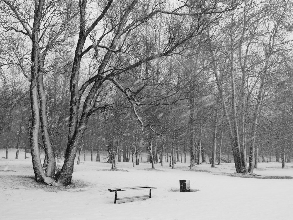 Снегопад в марте, Ярославль.