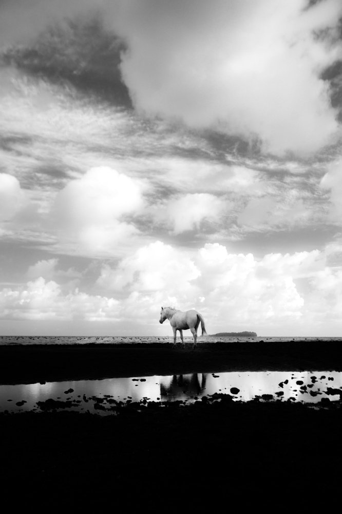 Photograph by Rahmad Larae