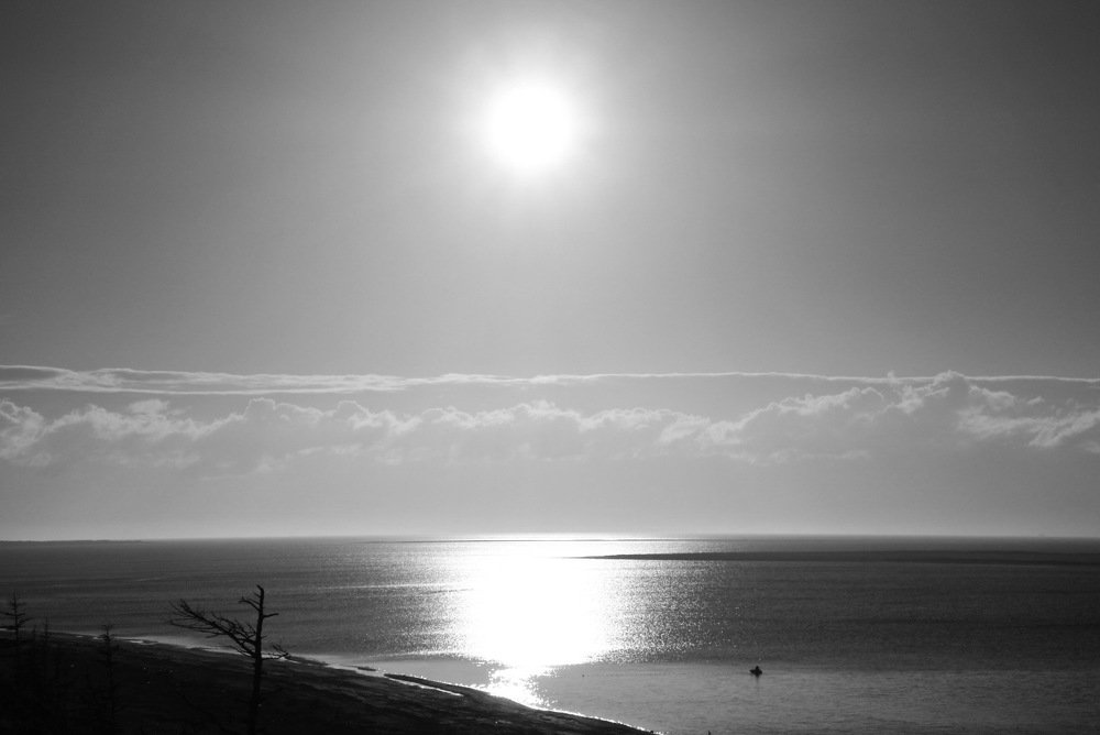 Photo #3150623