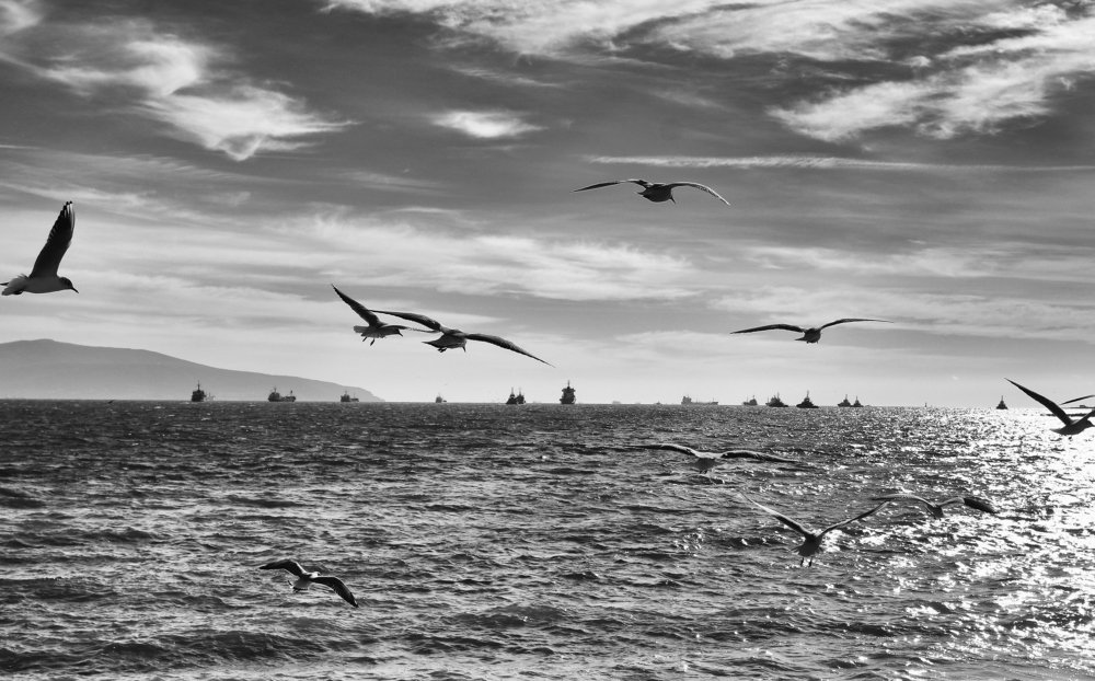 Photograph by Александр Пиленгас