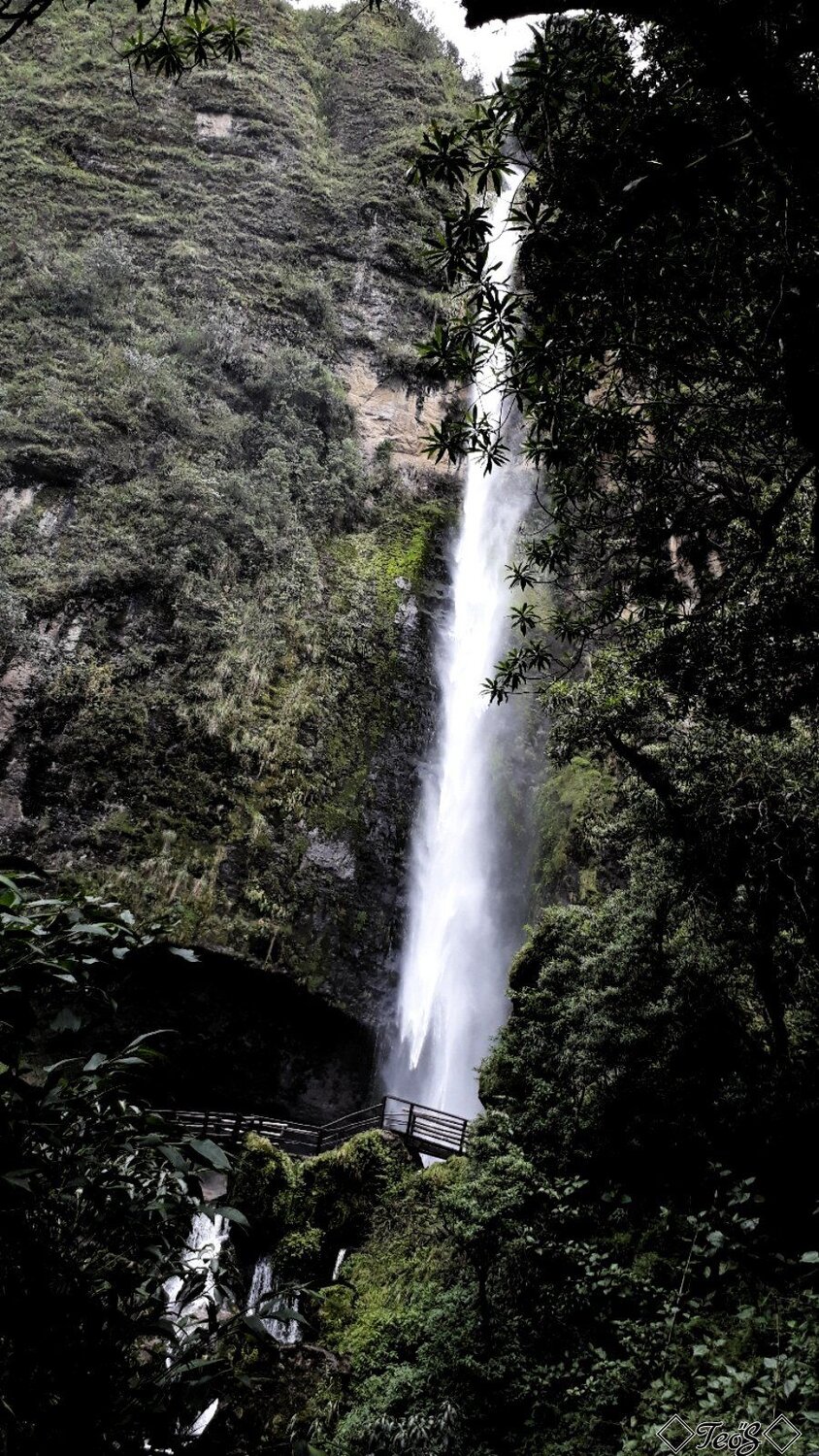 Cascada