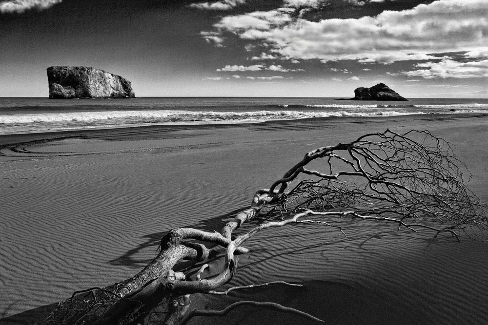 Циклон ушёл.