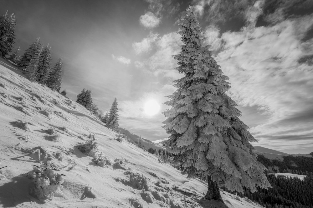 In the heart of the mountains