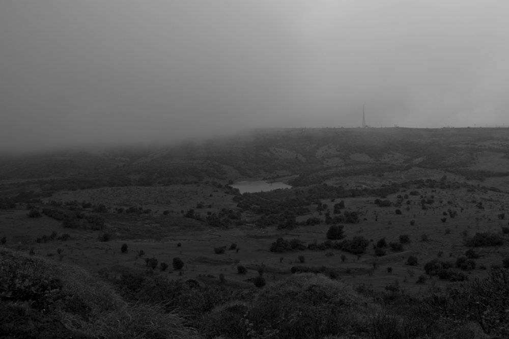 When the winds of change blow