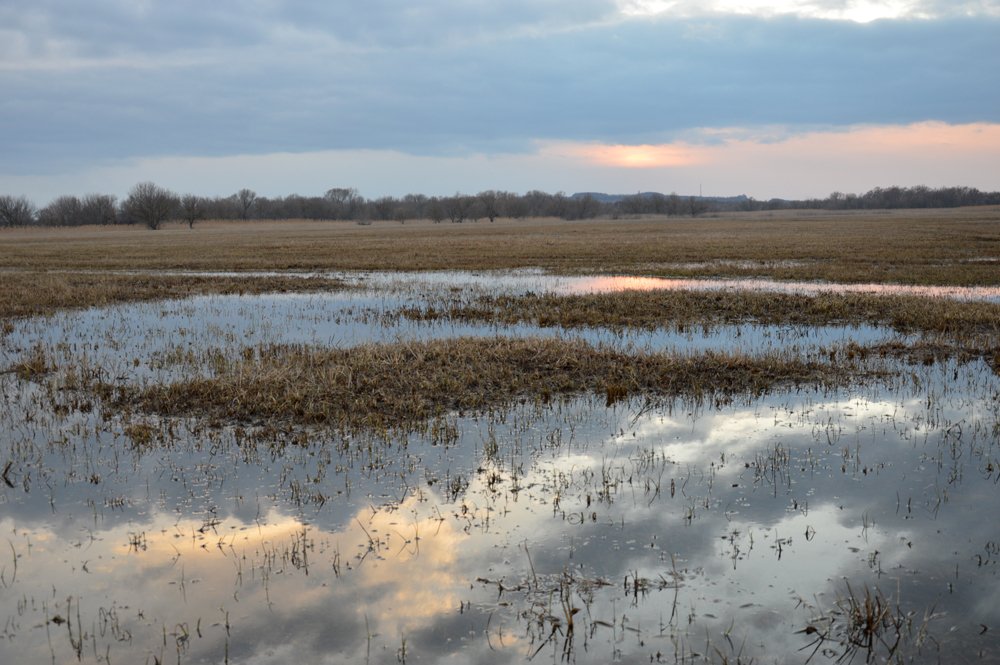 Заливные луга