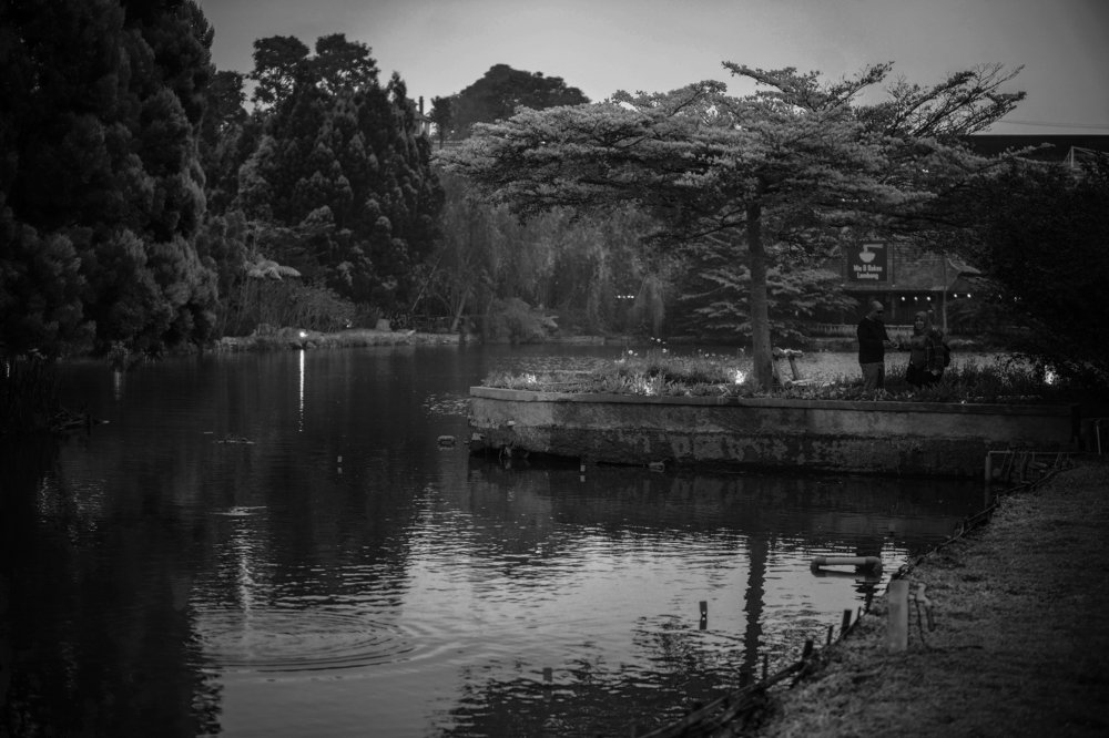 Photograph by Hamzah Alwehaimed