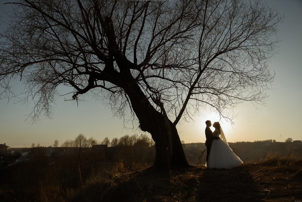 Photograph by Сергей Гаварос