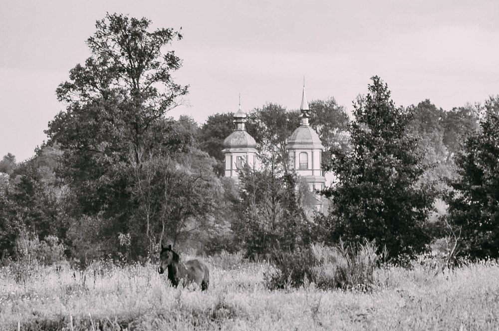 Фотография автора Дарья Шевченко