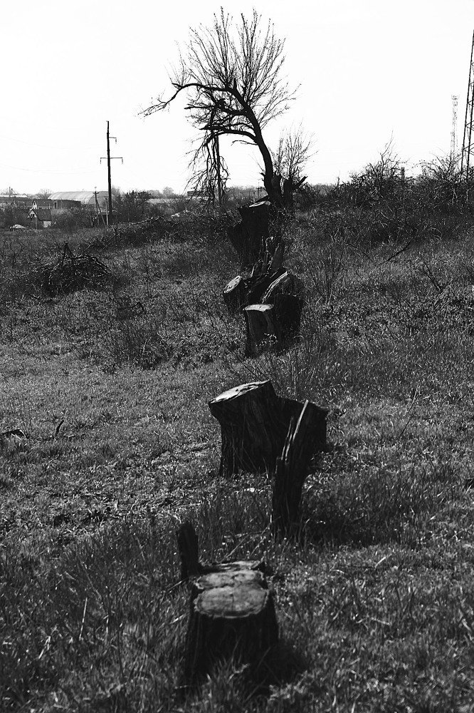 Выживший, хотевший умереть.