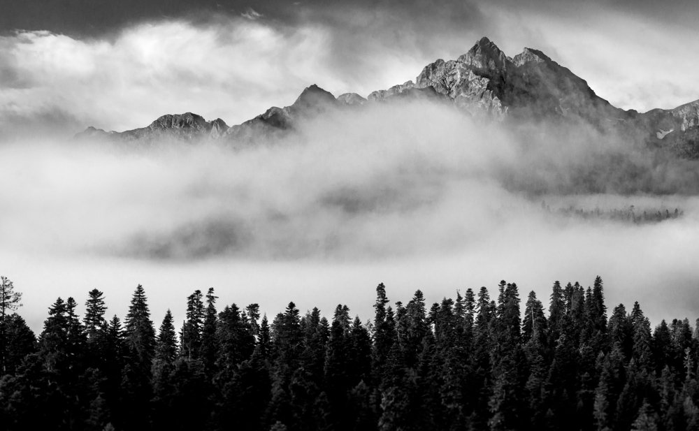 Летучий Голландец