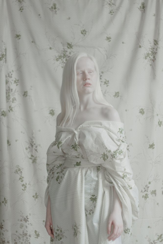 Photo #3151258