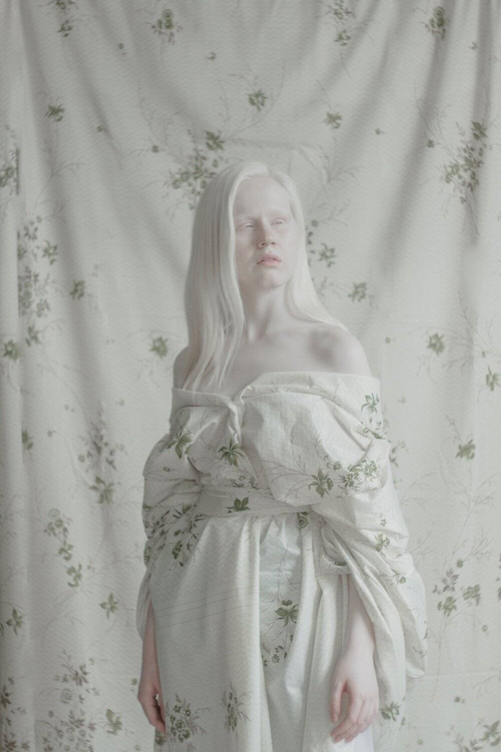 Photo #3151258