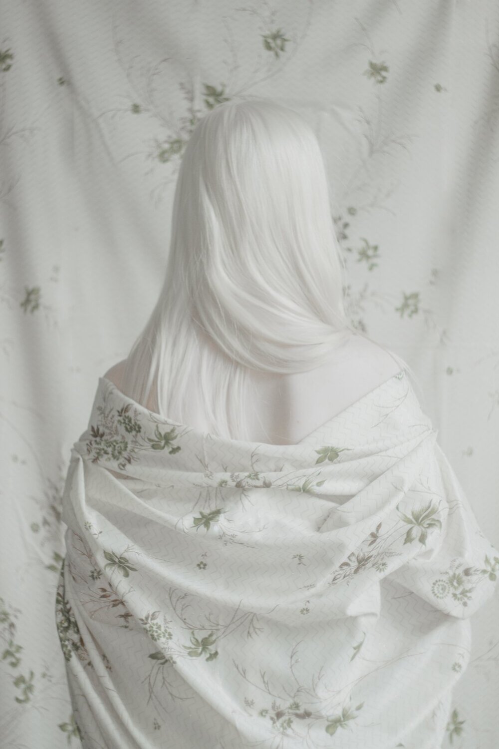 Photo #3151262