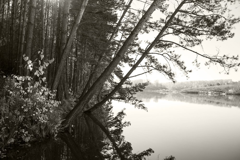 Photograph by Курочкина Диана