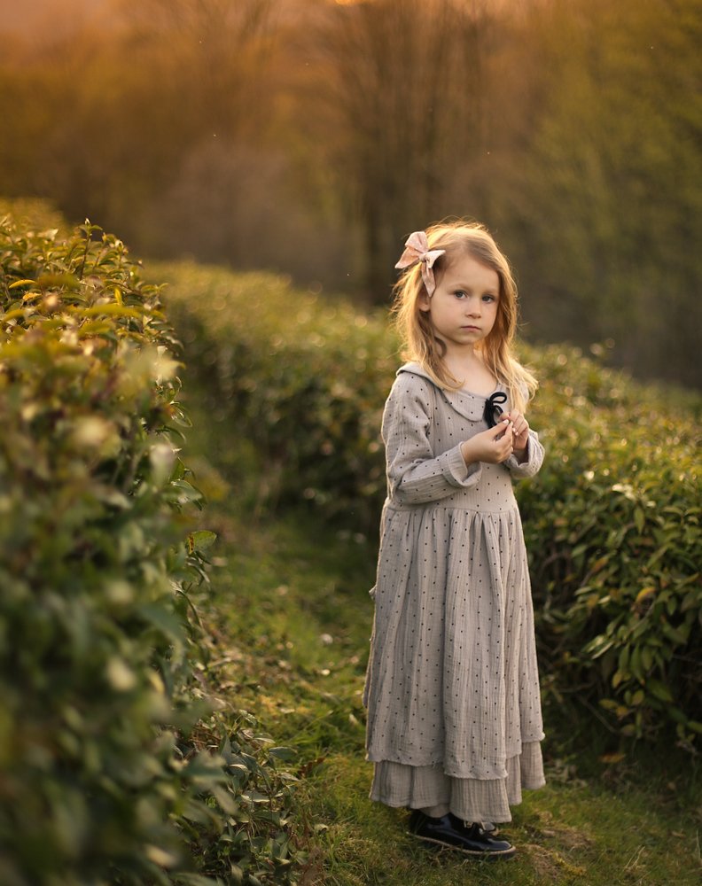 На чайных плантациях