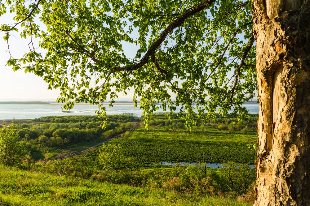 Дальневосточное утро