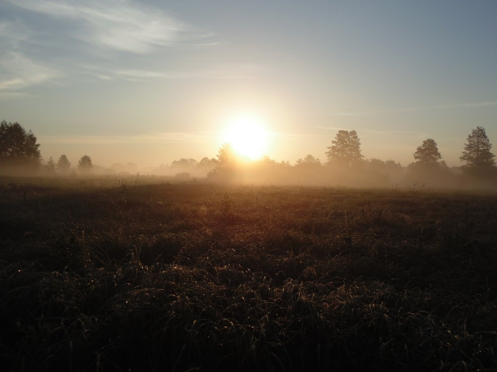 Рассвет