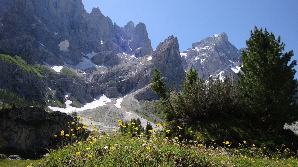 Dolomiti - Val Venegia